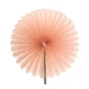 Decorative Peach Tissue Paper Fan - 6 Sizes
