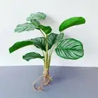 Balcony Home Decor Garden Decoration Artificial Green Plant Arrowroot Leaves