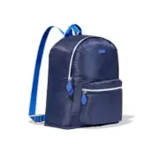 Paravel Fold Up Back Pack Blue