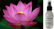 Lotus Flower - Room & Linen Spray
