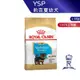 【ROYAL CANIN 法國皇家】 約克夏幼犬專用乾糧(YSP_1.5kg)｜皇家粉絲團 約克夏飼料 幼犬飼料 狗飼料