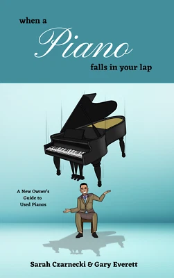 When a Piano Falls in Your Lap - Paperback | by Sarah Czarnecki and Gary Everett