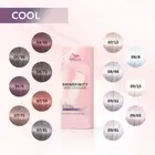 Wella Shinefinity Hair Colour 60ml Zero Lift Glaze hair Tint ALL SHADES
