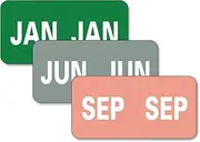 Monthly End Tab File Folder Labels, Assorted Colors, 250 per Month, 3000/Box