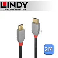 在飛比找蝦皮購物優惠-LINDY 林帝 ANTHRA USB 2.0 Type-C