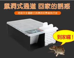 連續捕鼠盒 全自動連續捕鼠器 滅鼠器 捕鼠夾 鼠洞式捕鼠籠 (3.2折)