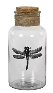 Creative Co-op DA3456 Dragonfly Glass Bottle with Cork Stopper 6-3/4" Tall