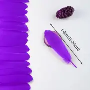 25pcs Cruelty-Free Goose Feathers Clothing Accessories / Dream Catcher Decor NEW