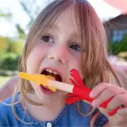 Popsicle Holder Sleeves Neoprene Insulator Sleeves Popsicle Holder
