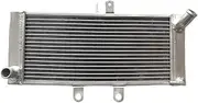 Engine Radiator Fit for Suzuki Bandit GSF1250 2007-2014 ABS/ 2008-2016 GSX650F 2009 2010 2011 2012 2013 Aluminum Radiator Radiator Grille