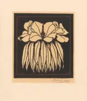 Godetia [woodcut] : Julie de Graag : 1920 : Archival Quality Art Print