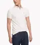 ☆【TH男生館】☆【TOMMY HILFIGER網眼POLO衫】☆【TOM003Q3】(S-M)