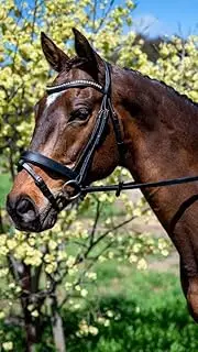 Topaz Wave Snaffle Bridle with Brass Buckles (Cob, Black)