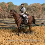 W.Britain 31316 Confederate General Stonewall Jackson Mounted, No.2 (Britains)