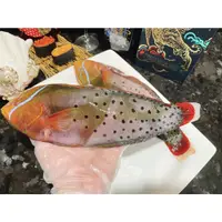 在飛比找蝦皮購物優惠-【鮮煮義美食街】鸚哥魚/紅尾盔魚