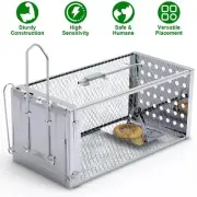 Single Door Rat Trap Cage Metal Humane Rodent Trap Mouse Trap Indoor Outdoor