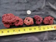 Holey Stone Lavarock Aquarium Terrarium Caves Tunnels Amano Shrimp Nano Tank Lot