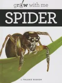 在飛比找博客來優惠-Spider