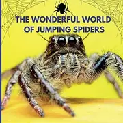 The Wonderful World of Jumping Spiders: Interesting Facts About Jumping Spiders