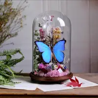 在飛比找蝦皮購物優惠-蝴蝶標本限定玻璃罩擺件大藍閃蝶書房復古家居軟裝植物標本創意禮
