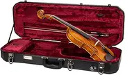 Crossrock Oblong Case fits 4/4 Full-Size Violin, Includes Interior Compartment, 2 Bow Holders, Security Lock, and Detachable Straps-Black (CRA860VFBK-R)