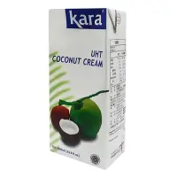 在飛比找Yahoo奇摩購物中心優惠-kara佳樂 椰漿(1000ml)