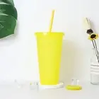 710ml Juice Cup Lidded Splash-proof Party Juice Cold Straw Cup Bpa Free
