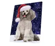 Let it Snow Christmas Holiday Poodle Grey Dog Woven Throw Sherpa Blanket T18