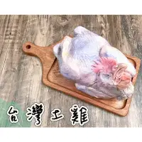 在飛比找蝦皮購物優惠-【吃肉肉不會胖】正台灣土雞 全雞 約1.7kg 國產雞 煎炒