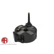 AFI Ignition Coil - C9011