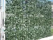 Designer Plants Double Sided Ivy Rolls 3m x 1m Artificial Hedges Fence and Faux Ivy Vine Leaf Decoration for Outdoor Garden Decor Dark Leaves