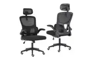 Work Office Chair - Lumber Support, Flip-up Armrest, Adjustable Headrest SITIO - Black