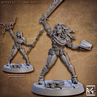 Apprentice Mage Wizard - Artisan Guild - Fantasy D&D Miniature