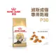 皇家 - P30/波斯貓成貓( 2kg )