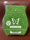 Meet At The Mistletoe #86808 - Winter - Scentsy Wax Bar - Free Shipping