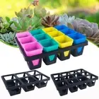 Black Flower Pots Storage Tray Organization Potted Bracket Seeding Boxes Dish