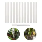 Clear T Type Plant Markers Eco friendly Acrylic Labels for Mini Greenhouses