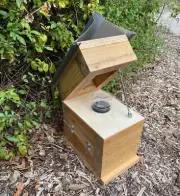 50mm Cypress Pine Varnish Rough Sawn Ply Jar Stingless Native OATH Bee Box Hive