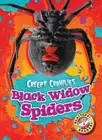Black Widow Spiders by Megan Borgert-Spaniol: New