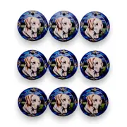Labrador Printed Mini Ornaments Box of 9