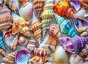 Chalzidar Jigsaw Puzzles for Adults 1000 Pieces, Interlock Perfectly Letter on Back No Dust, Home Decor Birthday Gift Toy for Men Women Elders Seniors, 1:1 Poster - Romantic Conch