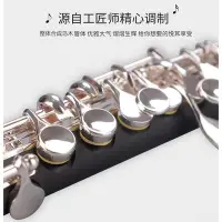 在飛比找Yahoo!奇摩拍賣優惠-現貨未諾合成烏木短笛C調西洋樂器VPC-E200S初學管樂隊