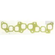 Platinum Extractor Gasket - HSM50
