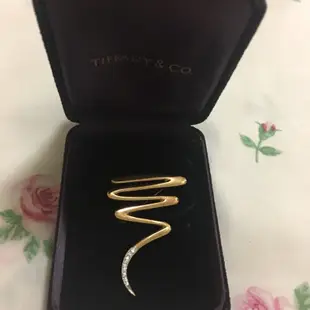 TIFFANY & CO. Paloma Picasso 有鑽胸針