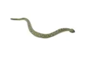 Rattlesnake, Diamondback, Realistic Toy Snake Figure, Model, 6" CH665 BB169