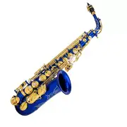 Professional Eb Alto Saxophone Brass E Flat Sax 802 Type for Concert D7R2