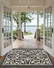 DEXI Door Mat Indoor Rugs for Entryway Floor Mats Inside Doormat Front Entrance Rug Entry Non Slip Washable,31.5"x47",Dark Grey
