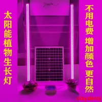 在飛比找蝦皮購物優惠-太陽能植物生長燈管大功率led燈管多肉園藝綠植全光譜補光燈防