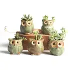 5Mini Ceramic Plant Pot Owl Succulent Flower Planter Bonsai Herb Box Garden Home