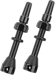 VALICLUD 2 Pcs Vacuum Tubeless Tire Valve Stems With Aluminum Caps Anti-backflow Sealant Design Universal Fit For High Pressure